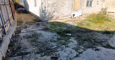 Casă Apollo