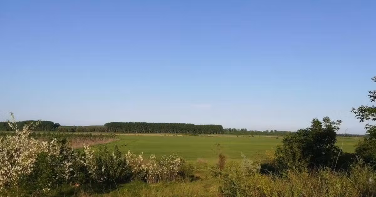 Teren intravilan de vânzare de 2200 mp, în Chiscani