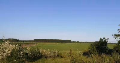Teren Chiscani
