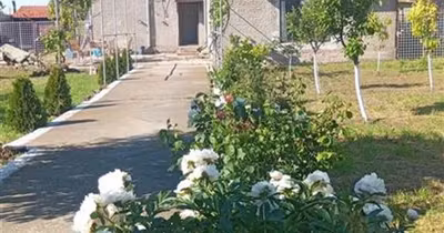 Casă Albina