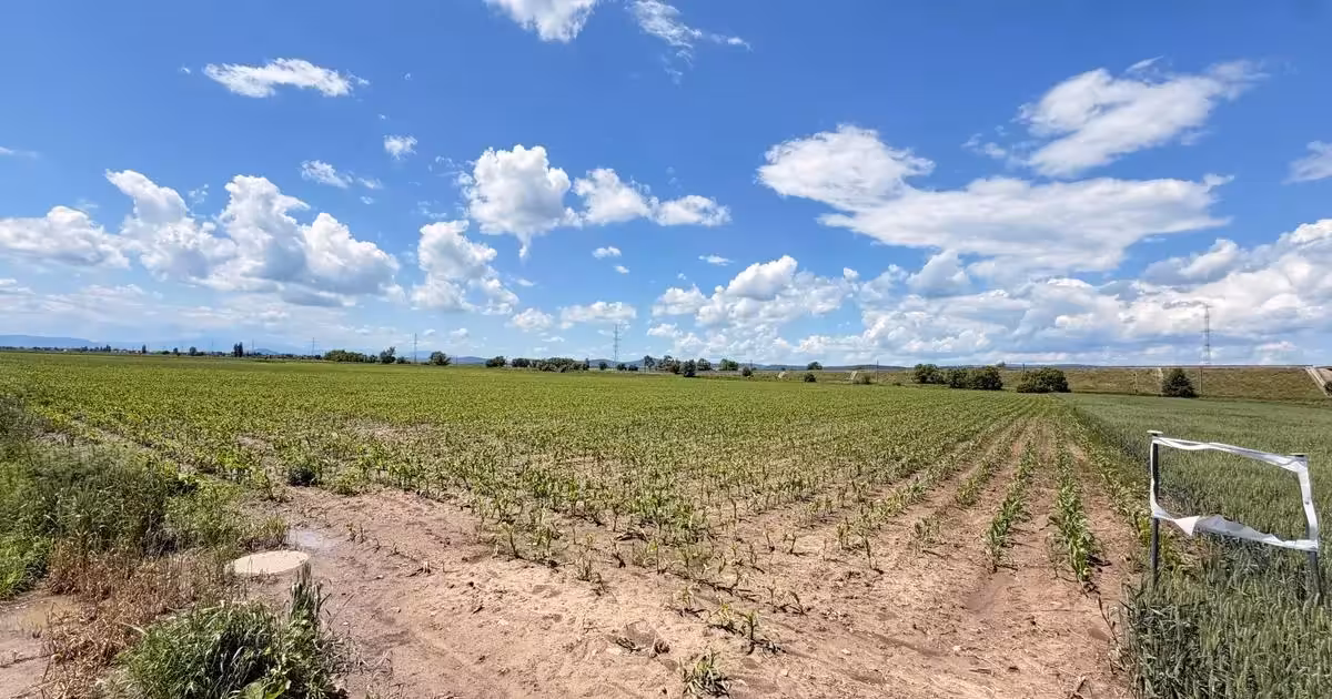 Teren agricol extravilan de vânzare de 11671 mp, în Ozun