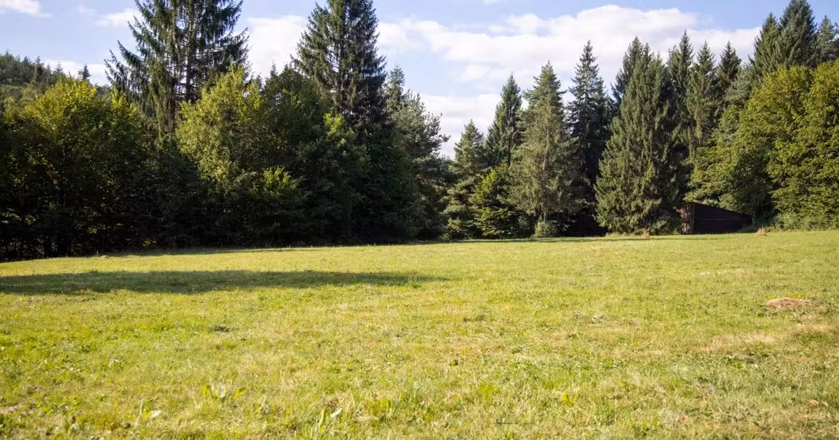 Teren Construcții intravilan de vânzare de 6800 mp, în Vulcan