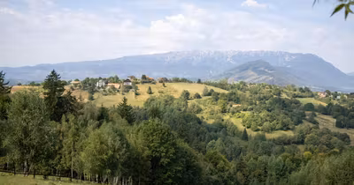 Teren Schei