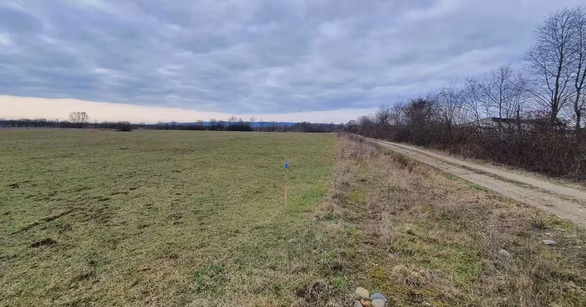 Teren intravilan de vânzare de 6000 mp, în Bușag