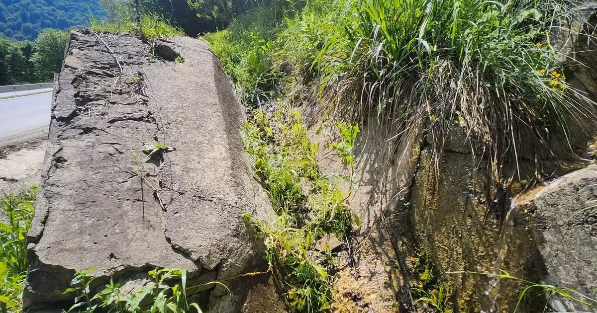 Teren Construcții intravilan de vânzare de 4800 mp, în Gura Siriului