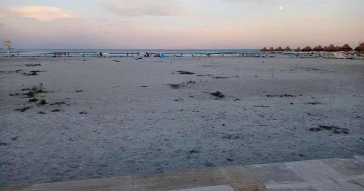 Teren Construcții intravilan de vânzare de 600 mp, în Mamaia