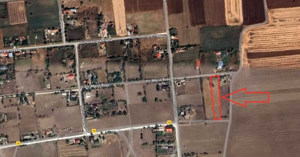 Teren Construcții intravilan de vânzare de 2500 mp, în Comana