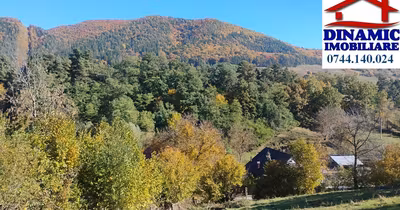 Teren Bistrița