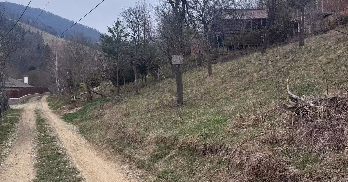 Teren agricol intravilan de vânzare de 6000 mp, în Bistrița