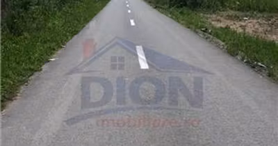 Teren Copăceni