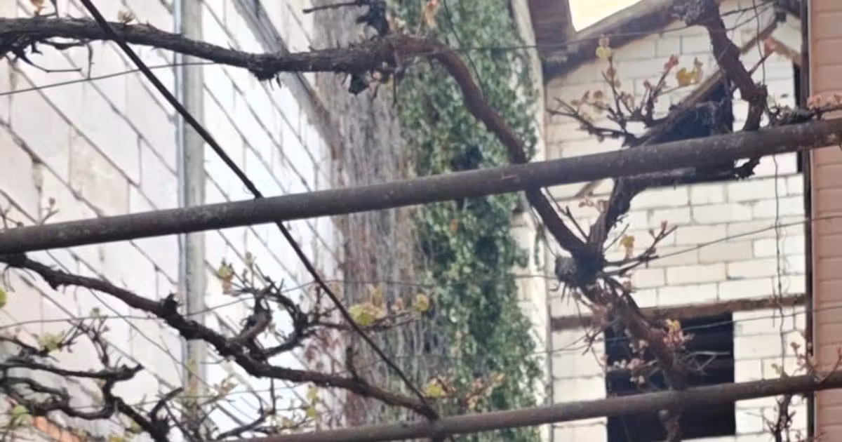 Casă individuală de vânzare cu 15 camere în zona Central, Bistrița