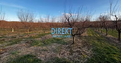 Casă Monor
