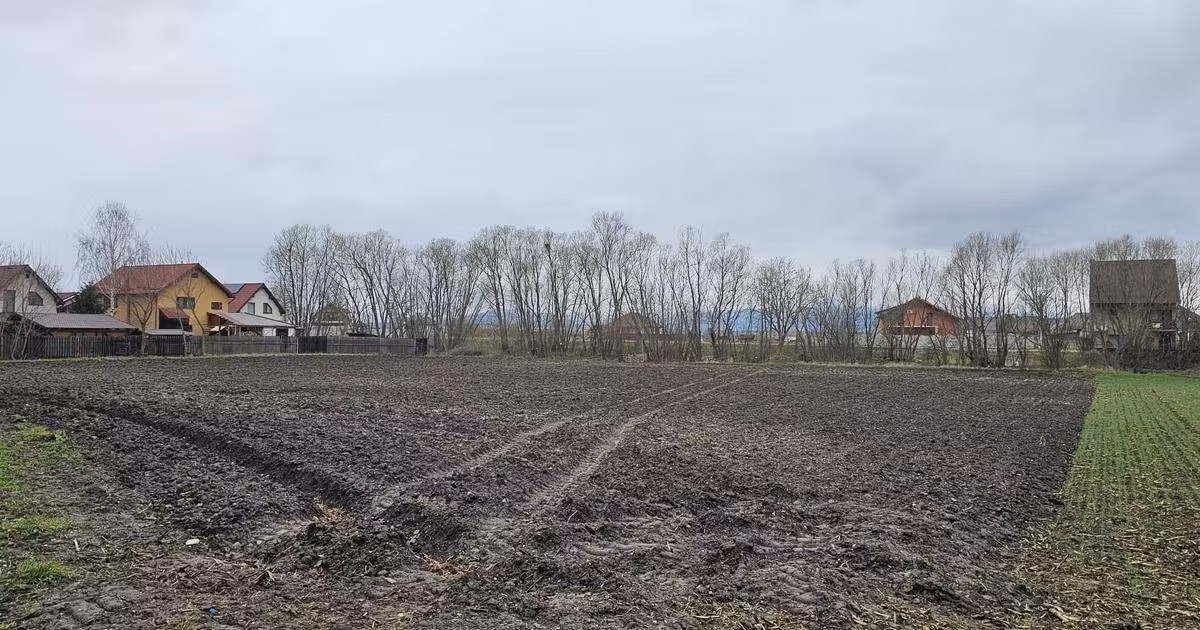 Teren Construcții intravilan de vânzare de 3000 mp, în Hălchiu