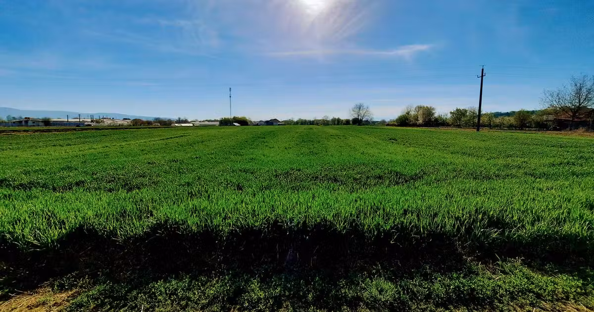Teren agricol extravilan de vânzare de 4923 mp, în Sântuhalm
