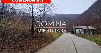 Teren Peștișani
