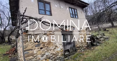 Teren Mușetești