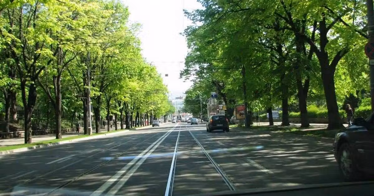 Casă de vânzare cu 7 camere în zona Copou, Iași