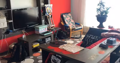 Apartament Zorilor
