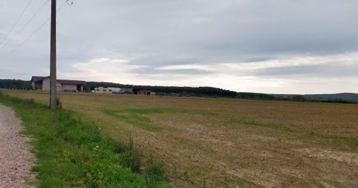 Teren Construcții intravilan de vânzare de 2158 mp, în Oșorhei