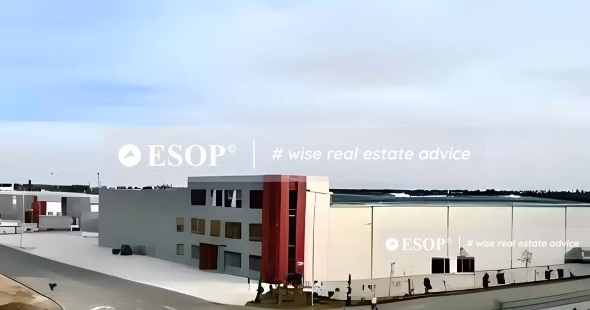 Spațiu industrial de vânzare 1575 mp în Chitila