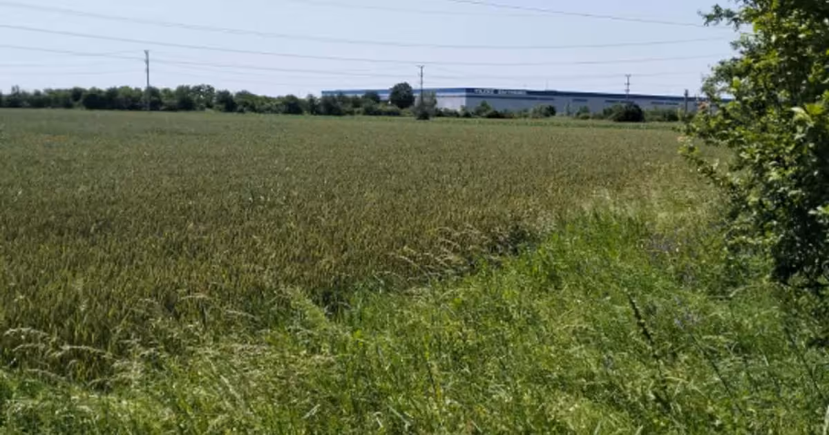 Teren agricol extravilan de vânzare de 7360 mp, în Oarja