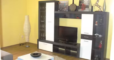 Apartament Vasile Aaron