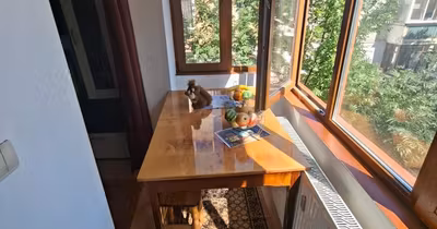 Apartament Tătărași