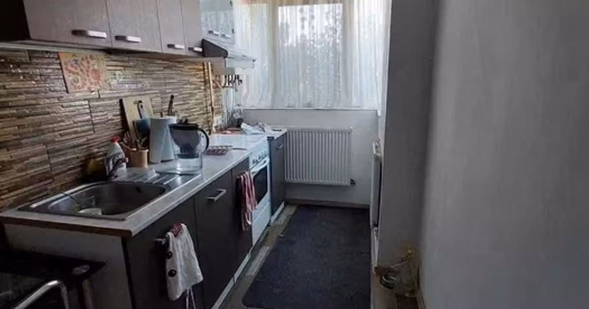 Apartament de vânzare cu 2 camere, mobilat în zona Alexandru cel Bun, Iași