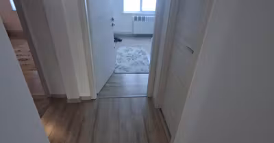 Apartament Alexandru cel Bun