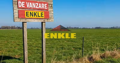Teren Zăicești