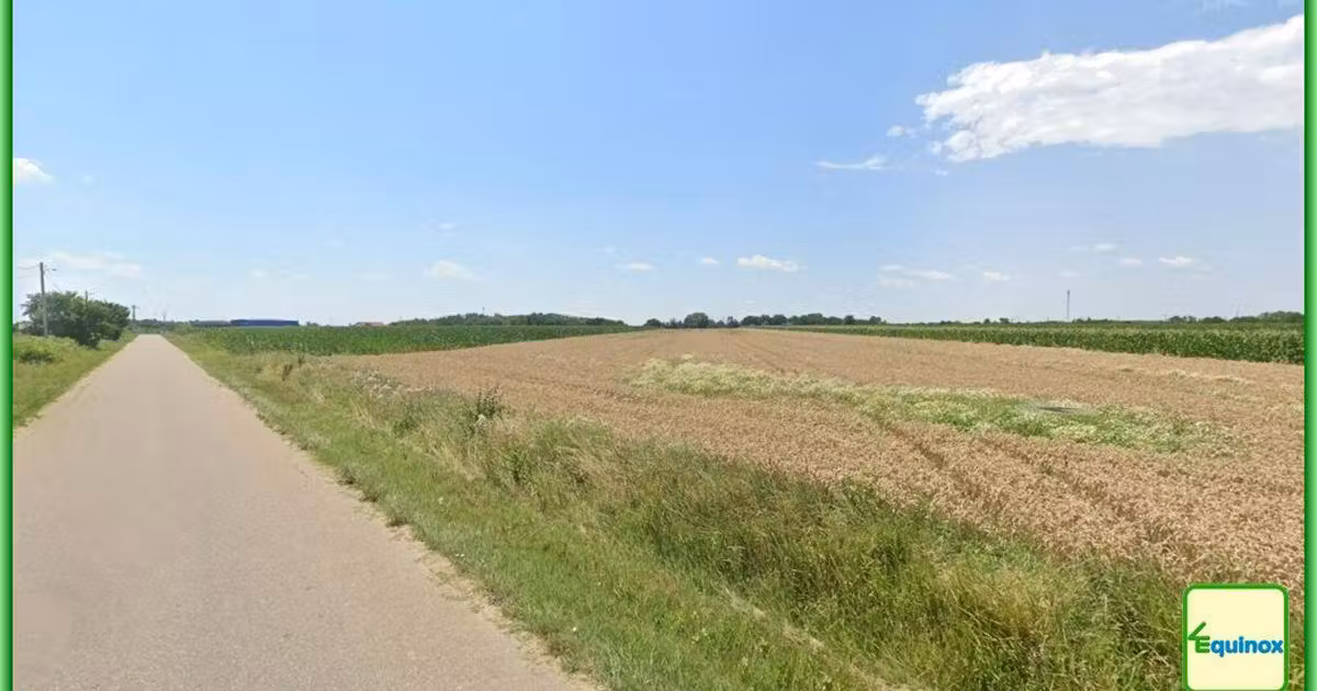 Teren Construcții intravilan de vânzare de 18000 mp, în Cocorăștii Colț