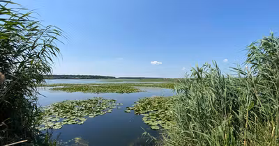 Teren Siliștea Snagovului