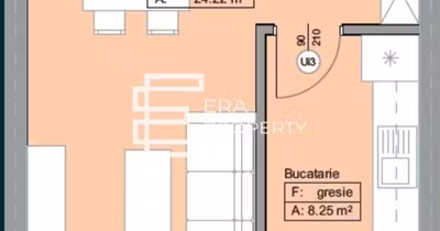 Apartament Vasile Aaron