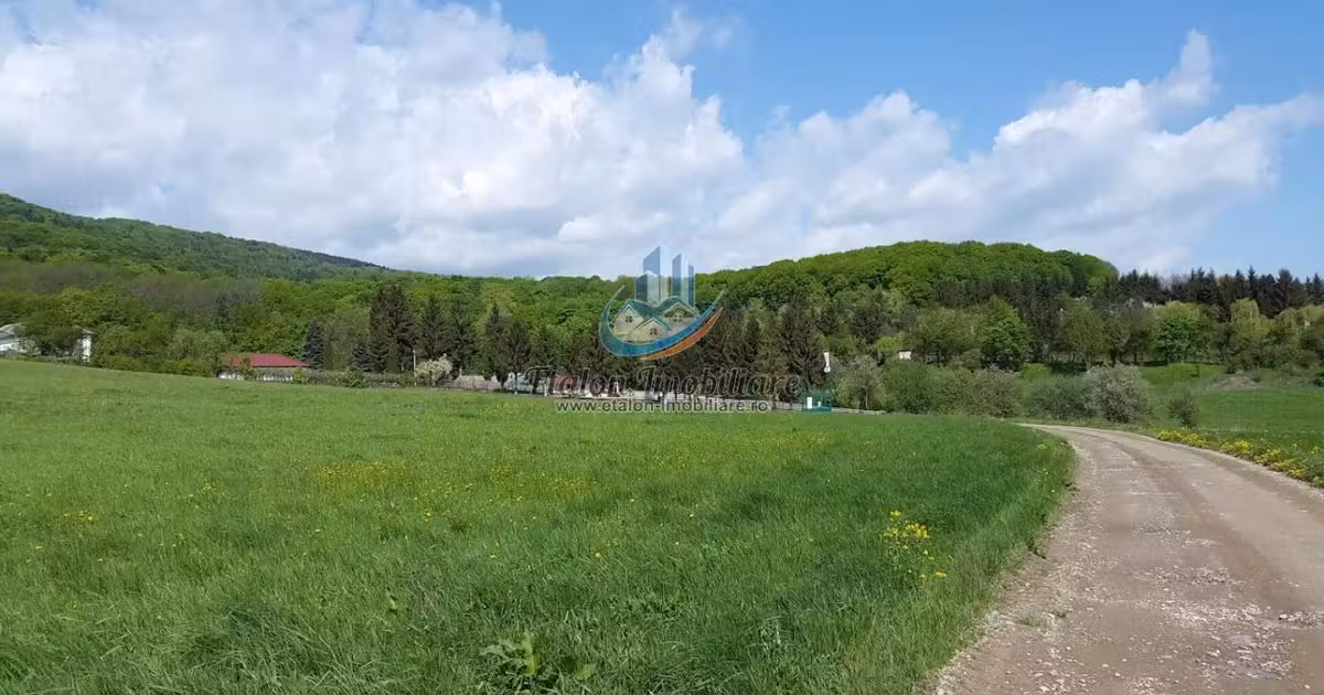 Teren Construcții intravilan de vânzare de 3900 mp, în Negrești (Dobreni)