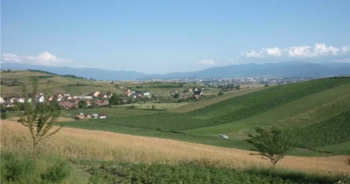Teren agricol extravilan de vânzare de 5000 mp, în Șura Mare