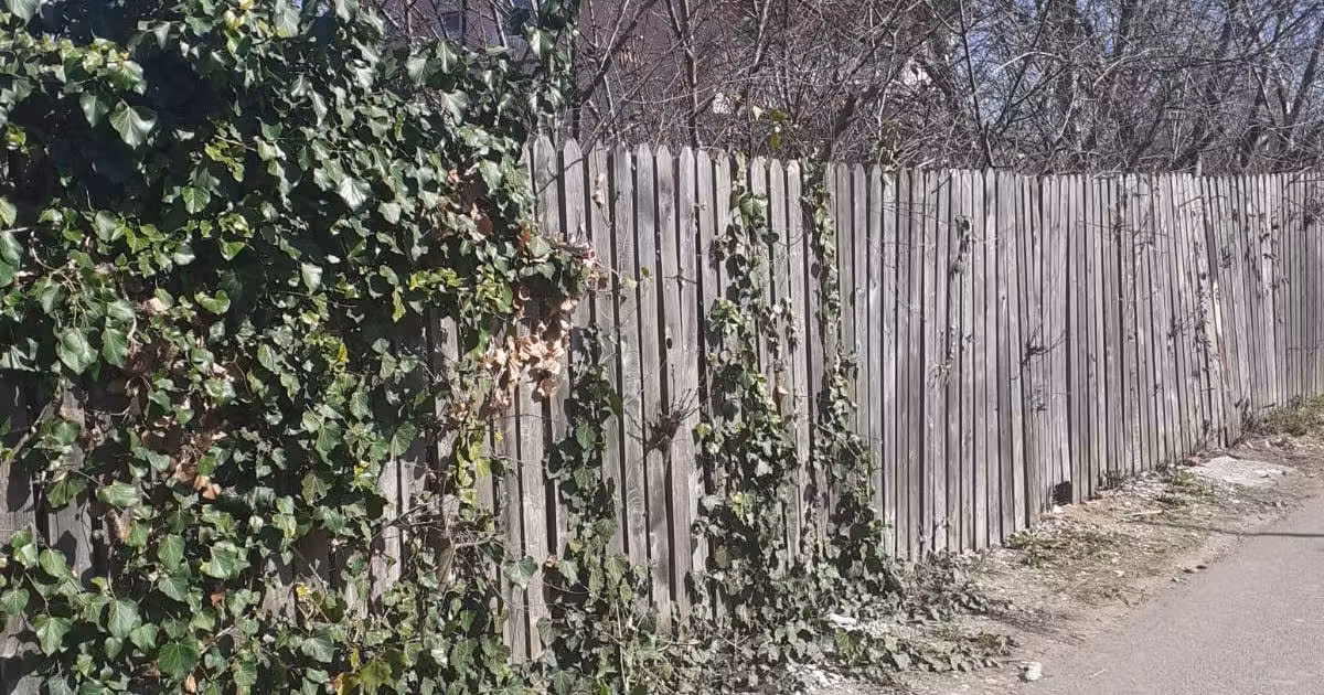 Teren Construcții intravilan de vânzare de 600 mp, în zona Kamsas, Constanța
