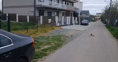 Teren Elvila