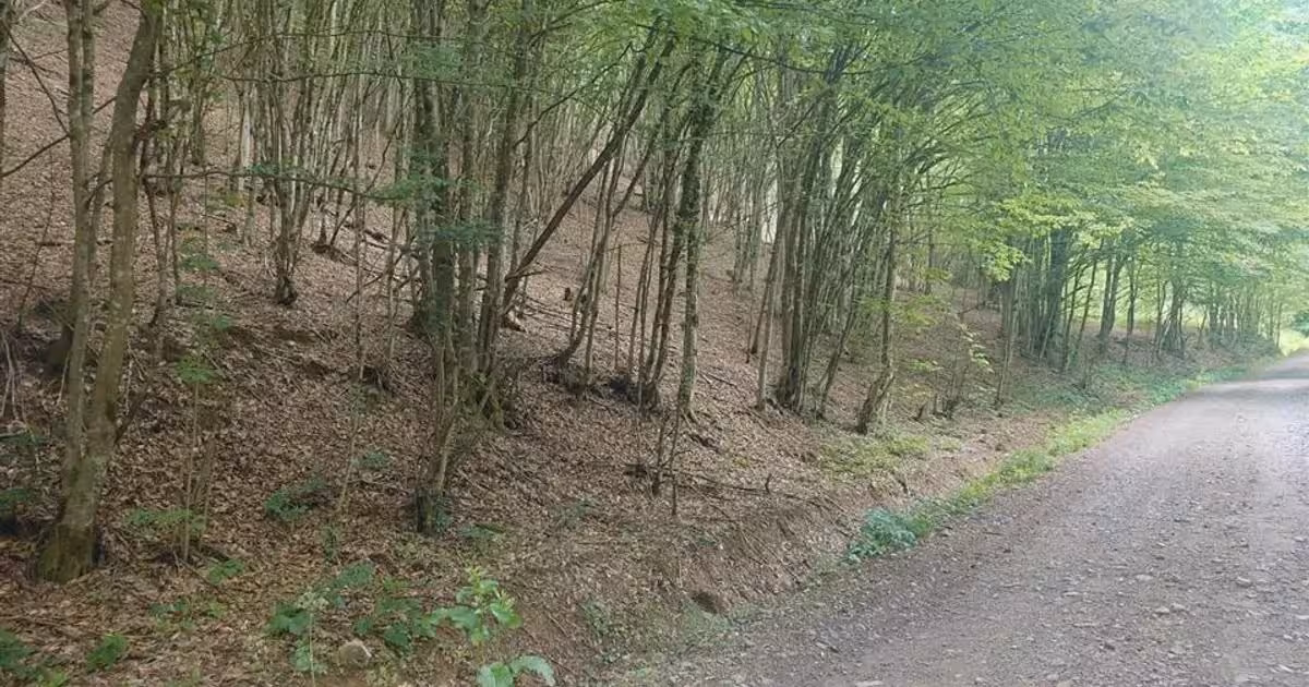 Teren extravilan de vânzare de 3700 mp, în Bulzeștii de Sus