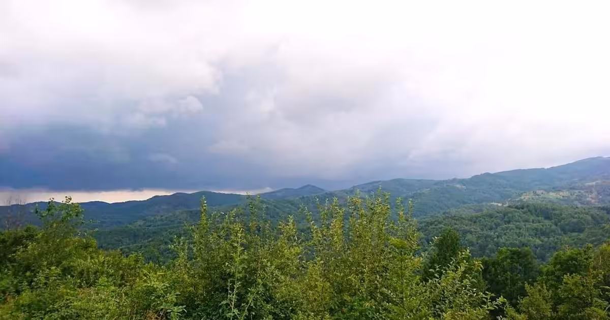 Teren extravilan de vânzare de 4200 mp, în Bulzeștii de Sus