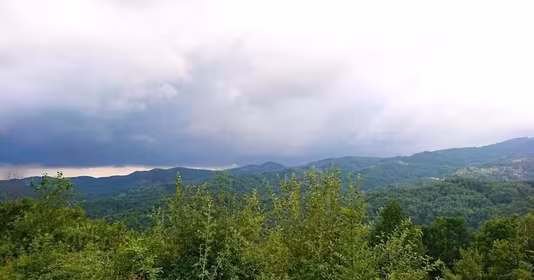 Teren Bulzeștii de Sus