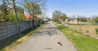 Teren Peninsulă