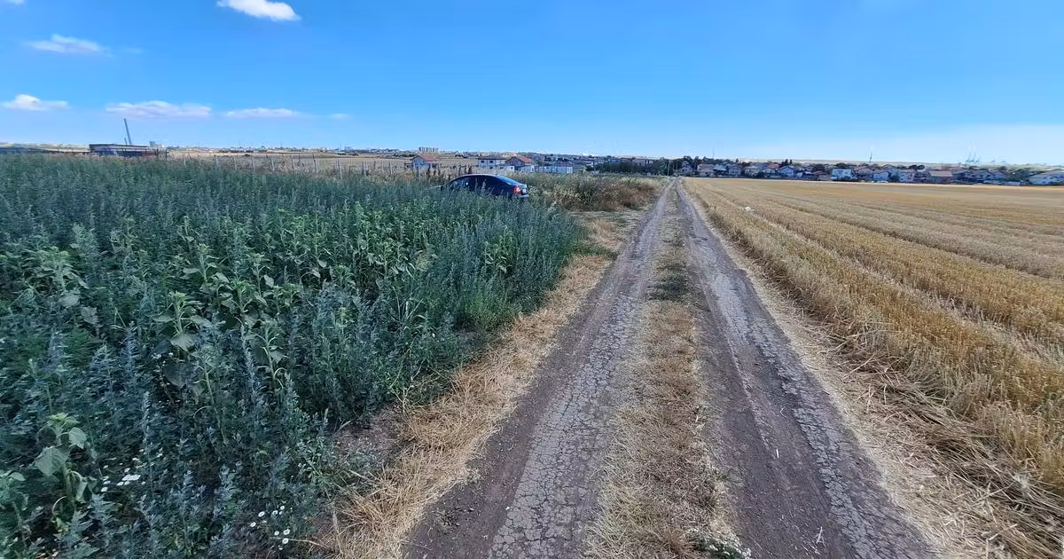 Teren Construcții intravilan de vânzare de 5000 mp, în Lazu