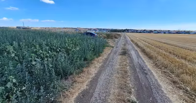 Teren Peninsulă