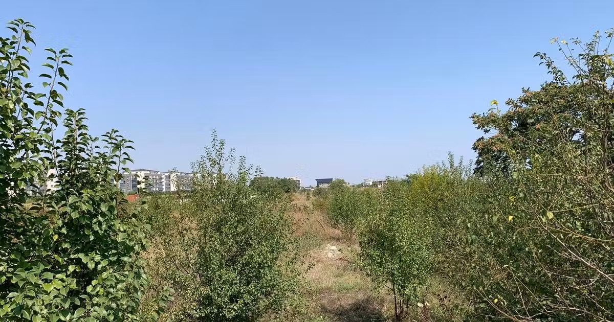 Teren Construcții intravilan de vânzare de 960 mp, în Agigea