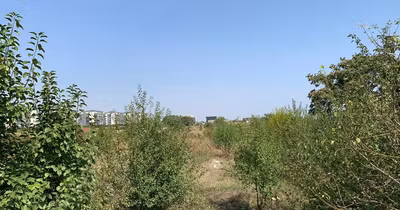 Teren Peninsulă