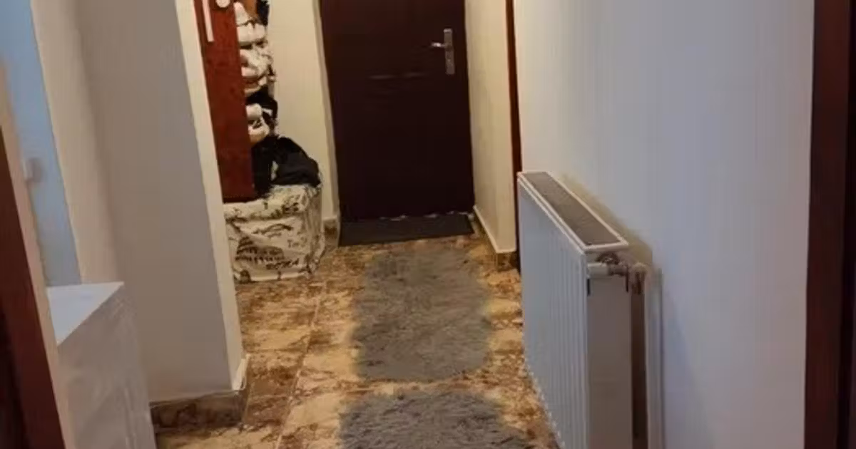 Casă individuală de vânzare cu 3 camere în zona Viile Noi, Constanța