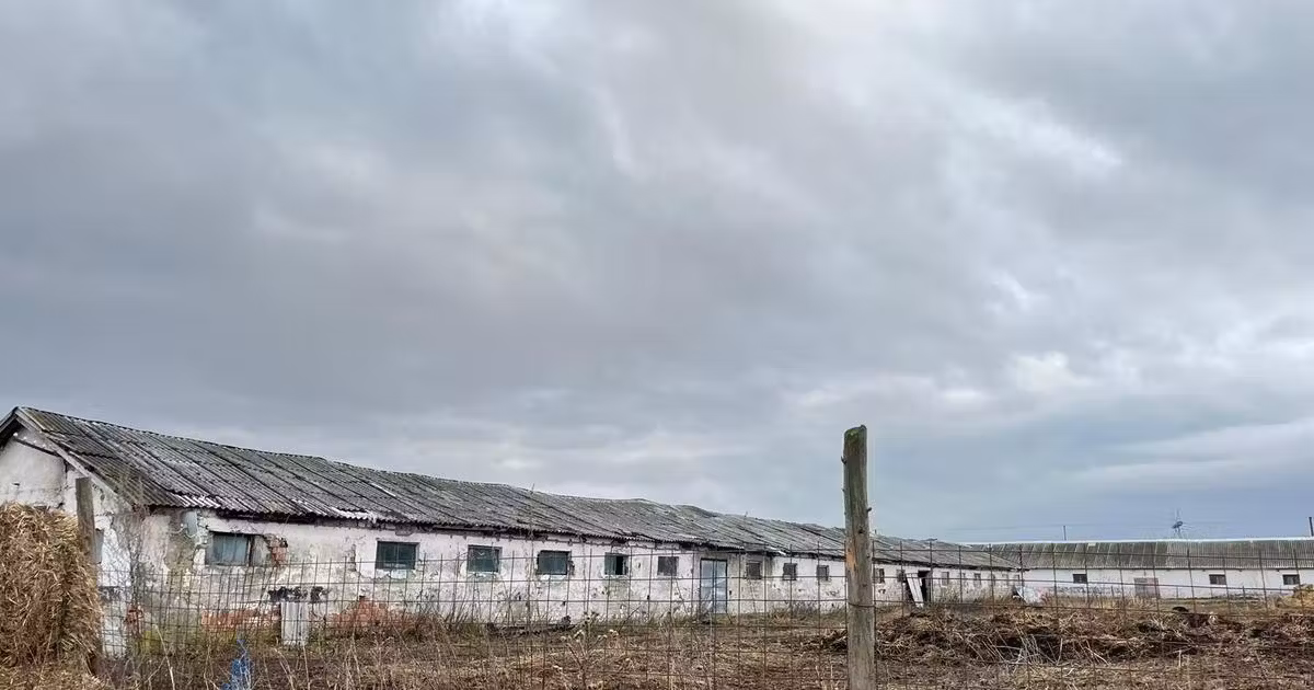 Teren Construcții intravilan de vânzare de 4389 mp, în Sâmbăta de Sus