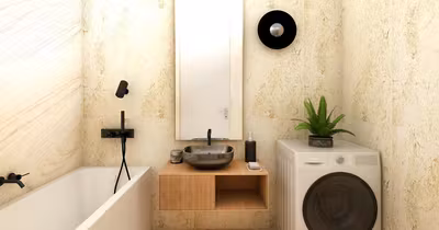 Apartament Turnișor
