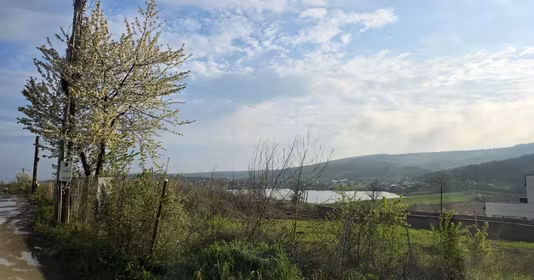 Teren Șorogari