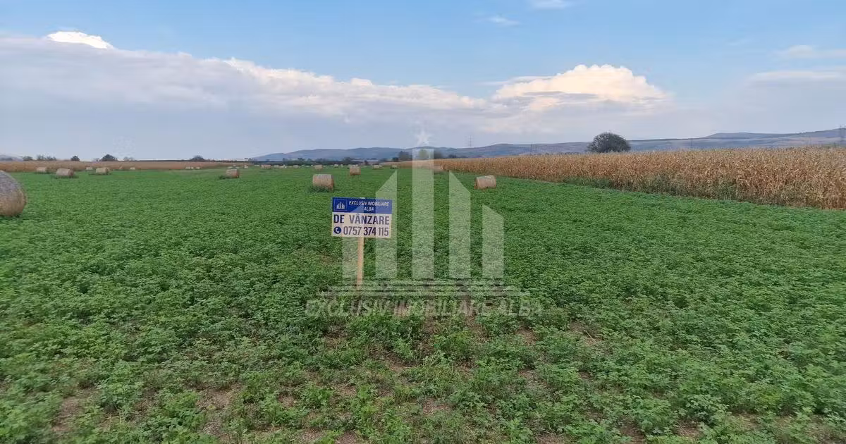 Teren Construcții intravilan de vânzare de 17300 mp, în zona Sud, Alba Iulia